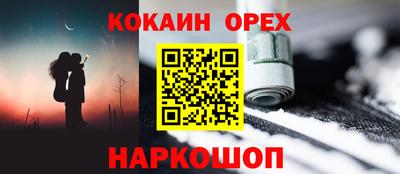 стаф Гатчина