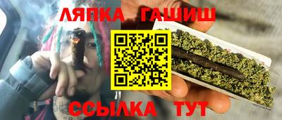 стаф Гатчина